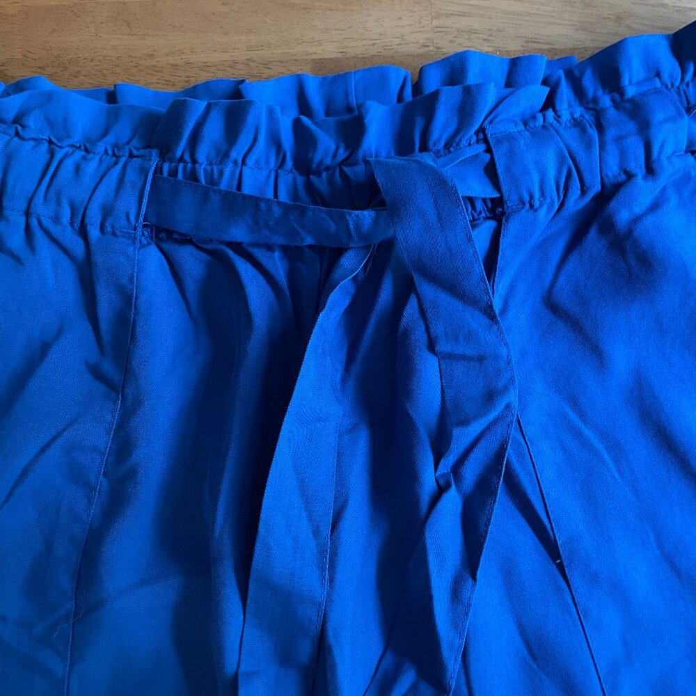 Size 14 H&M blue pants - new without tags - Picture 6 of 9